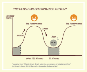Ultradiaani rytmi, jonka mukaan sekä unessa että valveilla vireystilamme vaihtelee korkeasta matalaan noin 90 minuutin sykleissä